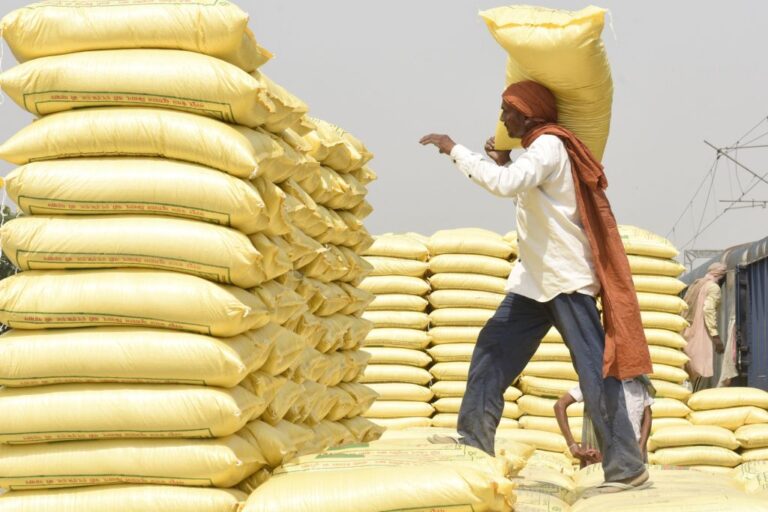 crisis alimentaria mundial