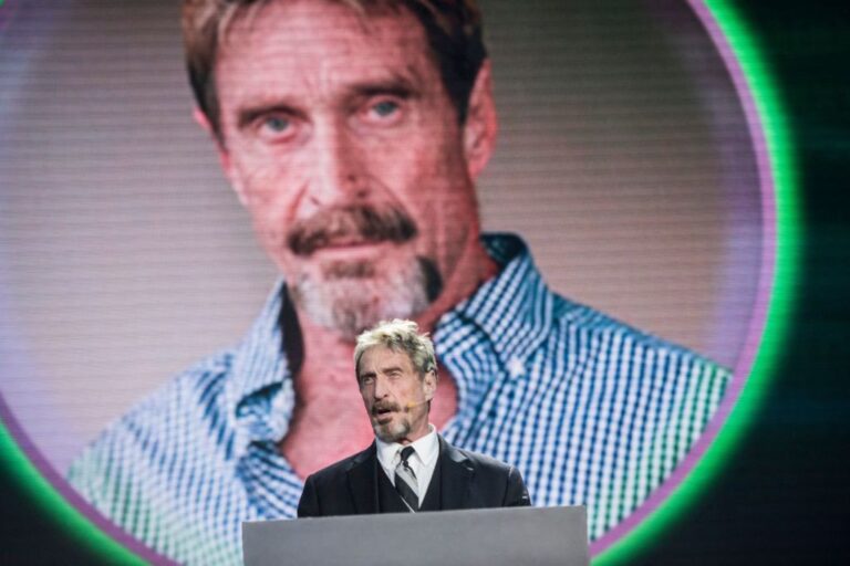 John McAfee whackd