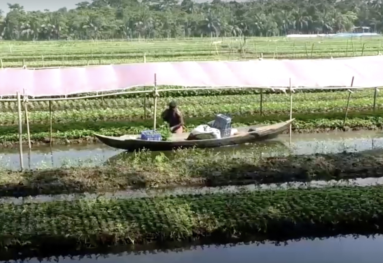 agricultores bangladesh