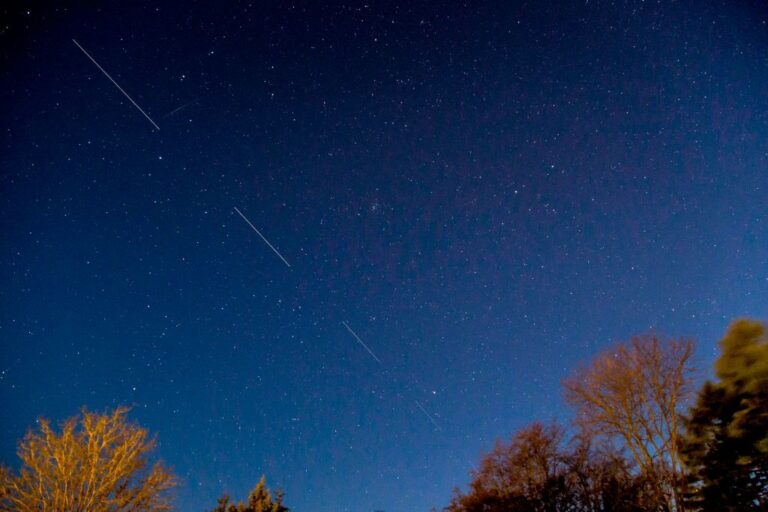 Starlink 5